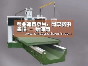产品名称十