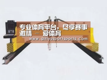 产品名称十七
